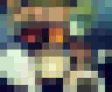 Ayurvedische HeilkrĂ€uter und Zutaten fĂŒr Wellness und Gesundheit auf einem Tisch angeordnet.